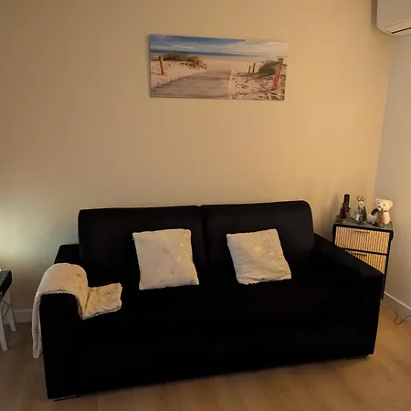 Carnaval Vue Aeroport Centre Commercial Cap 3000 Arenas Emplacement Excellent *