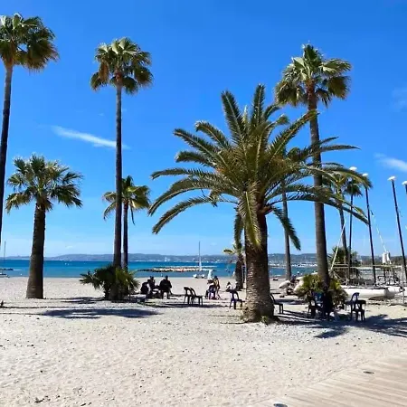 Carnaval Vue Aeroport Centre Commercial Cap 3000 Arenas Emplacement Excellent * サン・ローラン・デュ・ヴァール